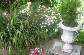 Plant pots covering the area where the septic tank access manhole is