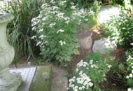 Septic Tank manhole in garden