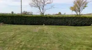 finished field septic tank installation