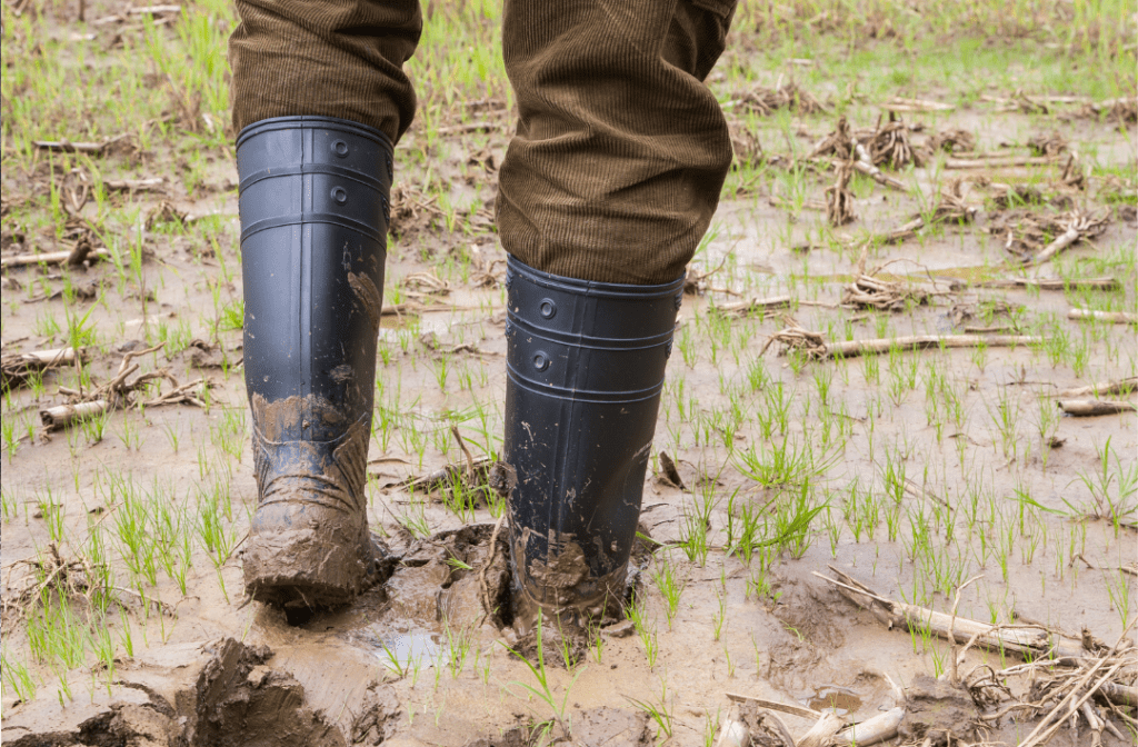 Person walking in rain and mud with dirty muddy wellies in a field