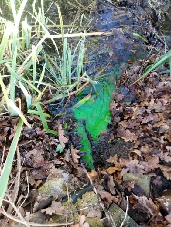 Septic Tank Dye Discharge Ditch