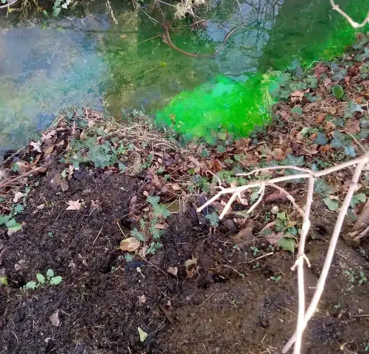 septic tank dye survey discharging to ditch